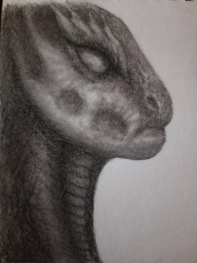 20250419_113615.jpg