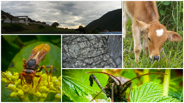 photo-collagepower-u