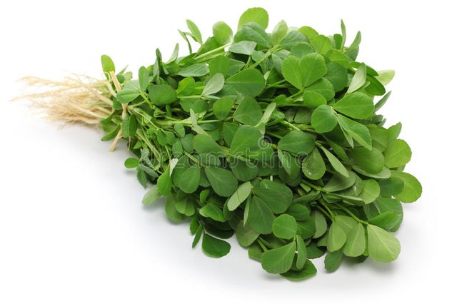 methi-fenugreek-leaves-37875369.jpg