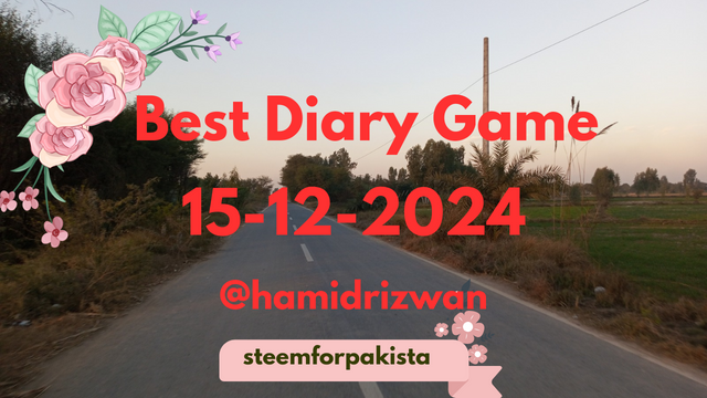 Best Diary Game_20241215_101436_0000.png