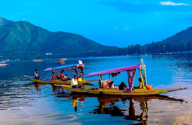 lake-dal-shikava-boat.jpg