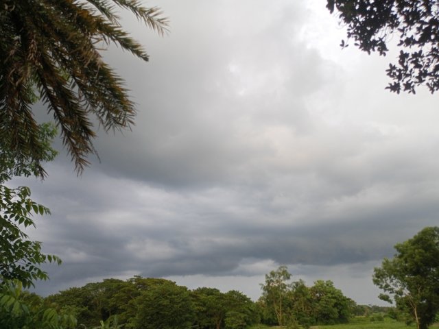 IMG20250818181650.jpg