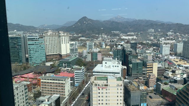 IMG_6616.jpeg