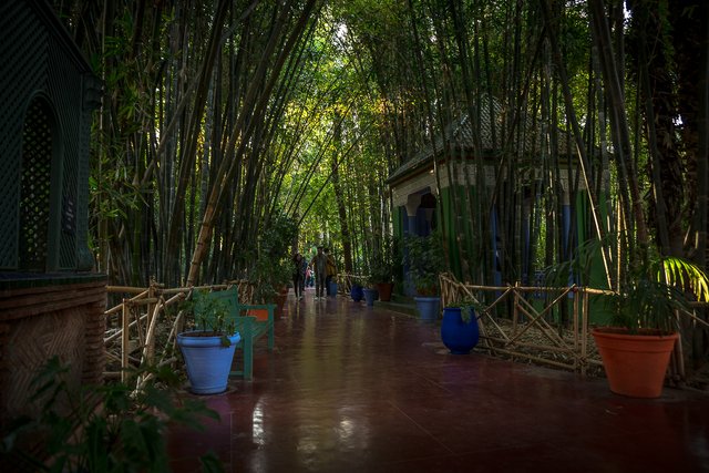 Les Jardins de la Majorelle bamboos people 4-2.jpg