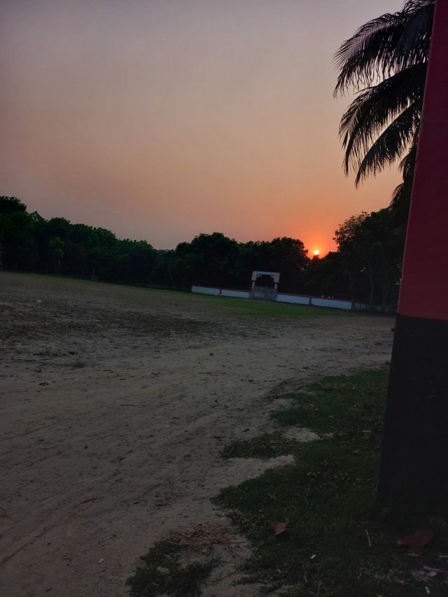 20250327_174831.jpg