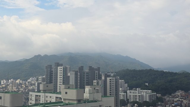 1000136436.jpg