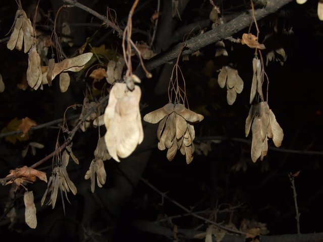 DSCF5492.JPG