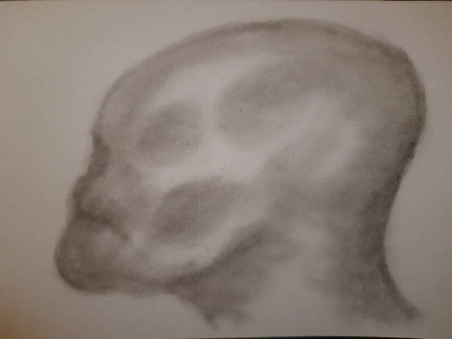 20250611_104758.jpg