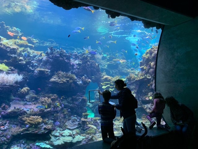 California Academy of Sciences57.jpg