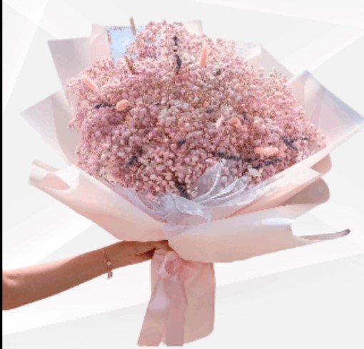 pink baby breath.jpg