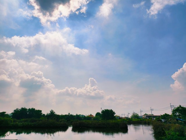 IMG_20250630_101501.jpg