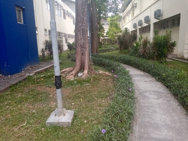 1000004865.jpg