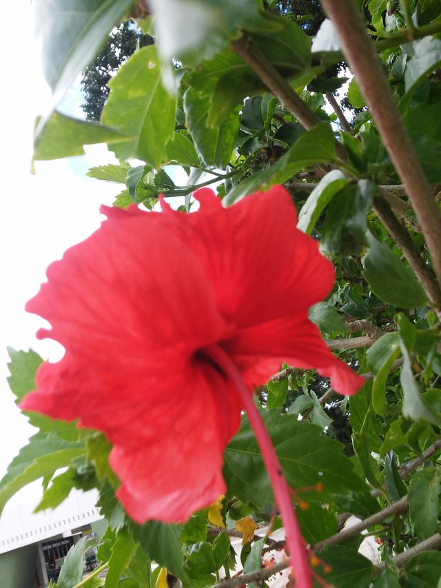 20180910_124916.jpg