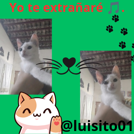 Yo te extrañaré 🎵._20240916_164544_0000.png