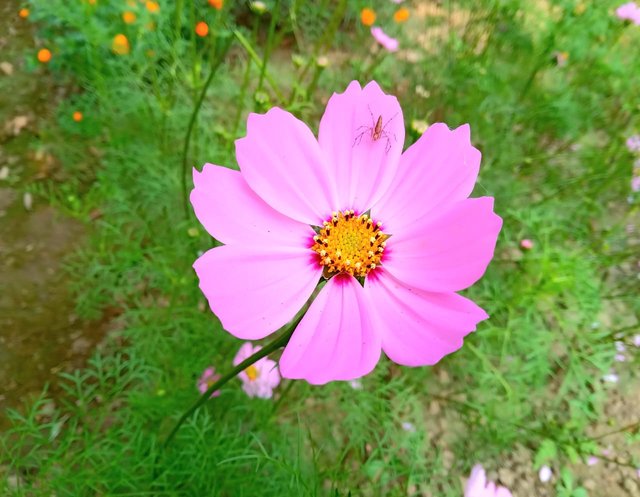 IMG-20230416-WA0007.jpg