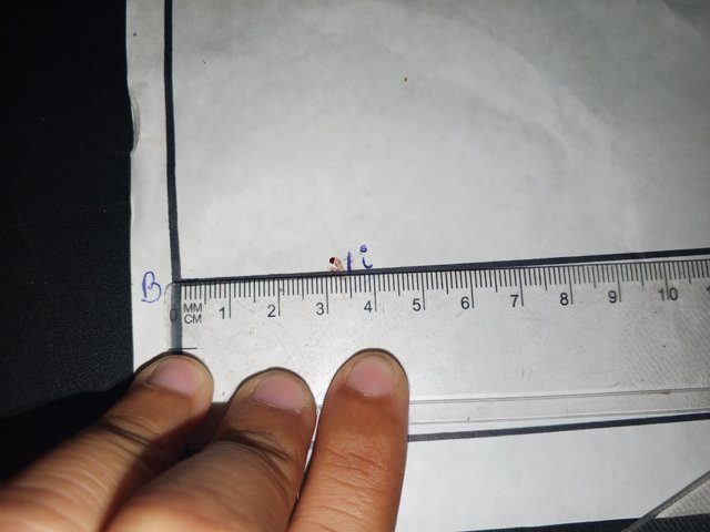 1000079214.jpg