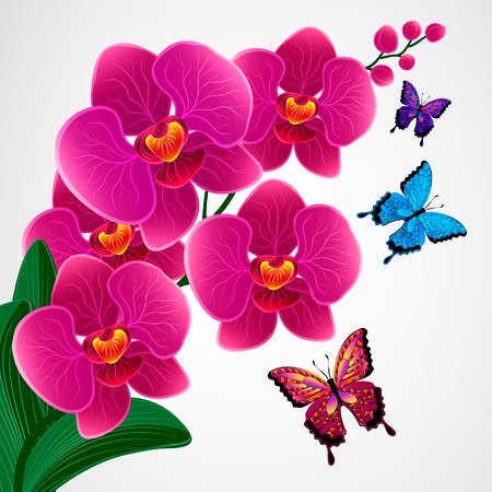 38684992-floral-design-background-orchid-flowers-with-butterflies.jpg