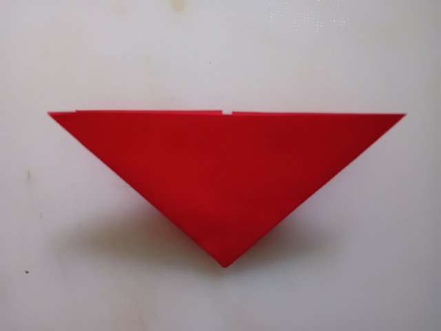 1000042535.jpg