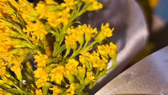 20250512_002005.jpg
