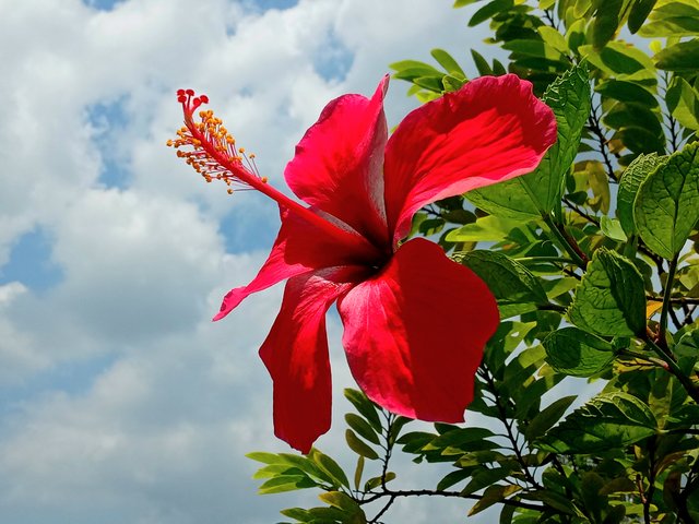 20250811_120639.jpg