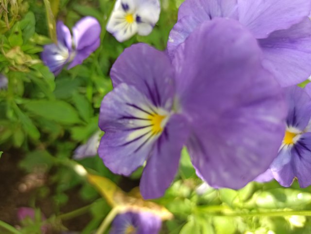 IMG_20250727_105024.jpg