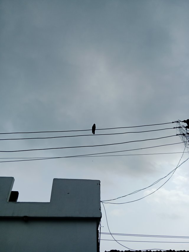 1000363130.jpg