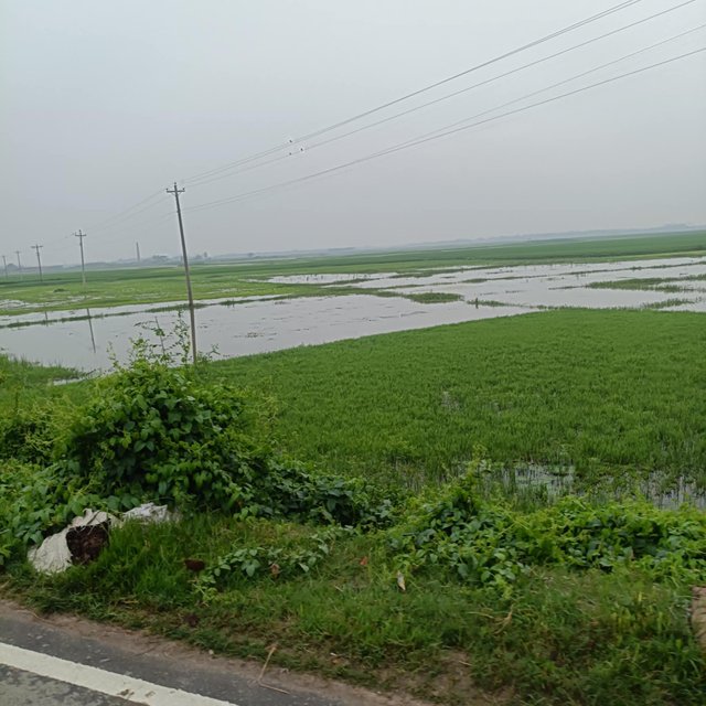 7ac770a1-c23a-412b-9898-f080ced2c10e.jpeg