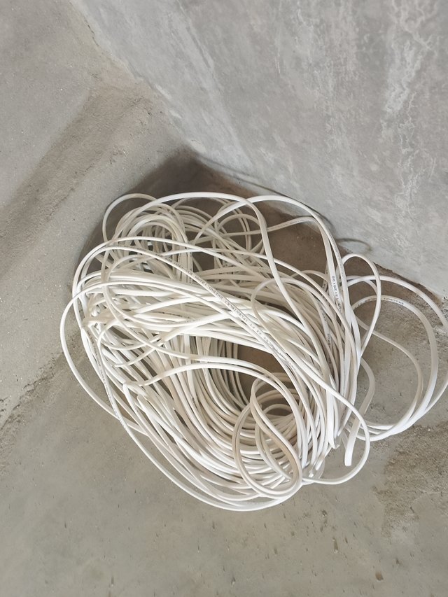 1000046189.jpg
