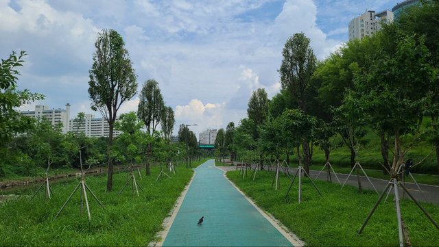 IMAGE 2025-09-10 05:26:36.jpg