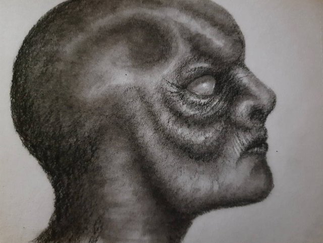 20250525_095248.jpg