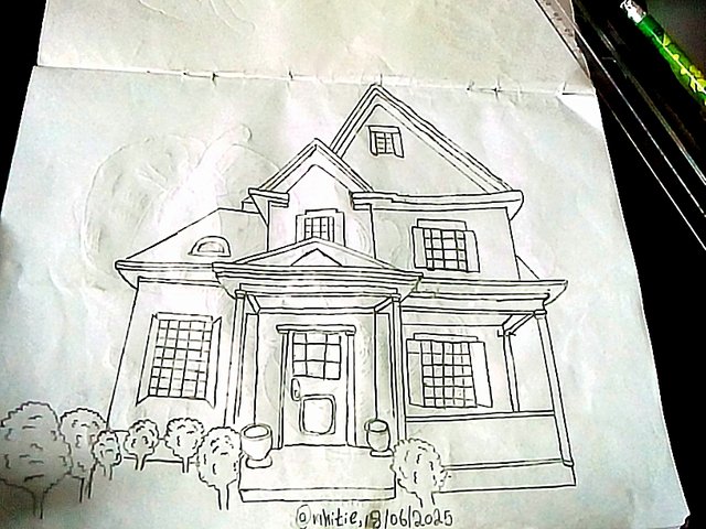 IMG_20250619_81201.jpg