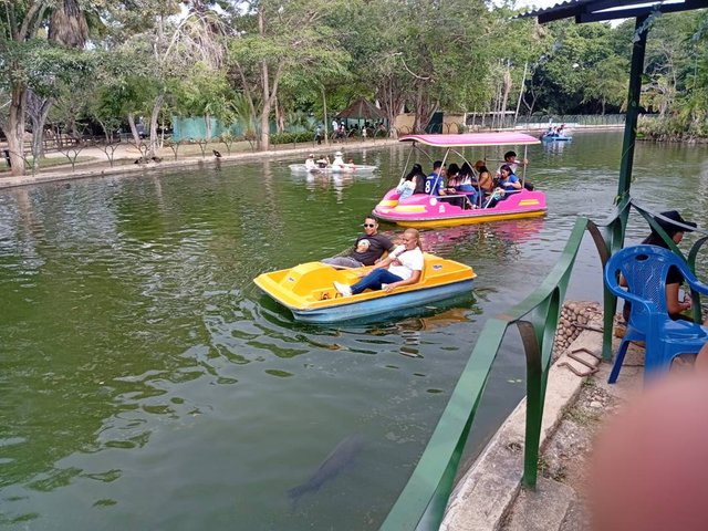 IMG_20250830_160017.jpg
