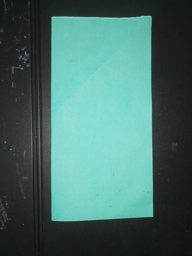 1000029772.jpg