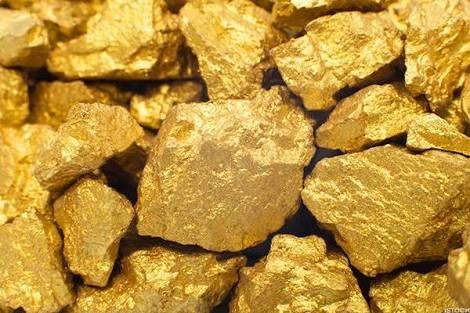 Brisbane Homeowner Discovers Gold Mine In Backyard What He Did