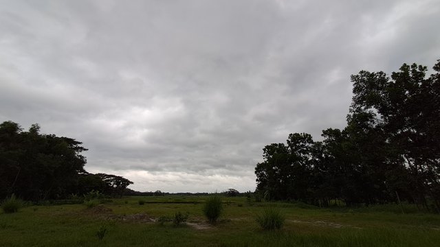 20240526_175557.jpg