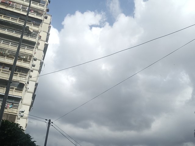 IMG_20250320_100658_828.jpg