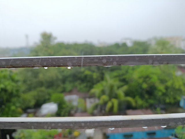 1000008274.jpg
