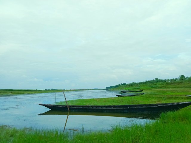 IMG_20250622_200427.jpg