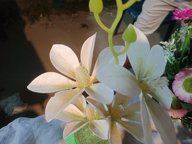 IMG20250412192741.jpg