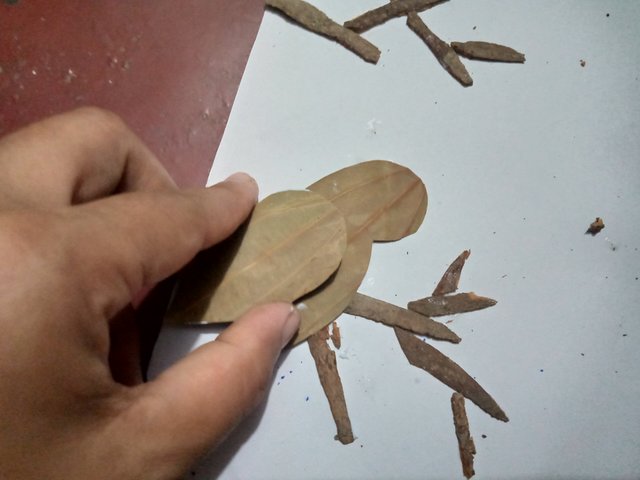 IMG20250814160821.jpg