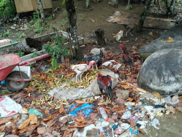 IMG_20240327_140405_634.jpg