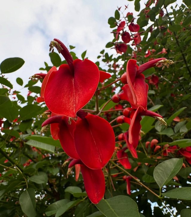 IMG_20250613_085812.jpg