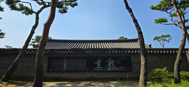 KakaoTalk_20240816_230337850.jpg