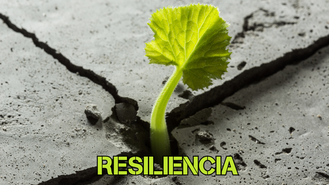 RESILIENCIA.png