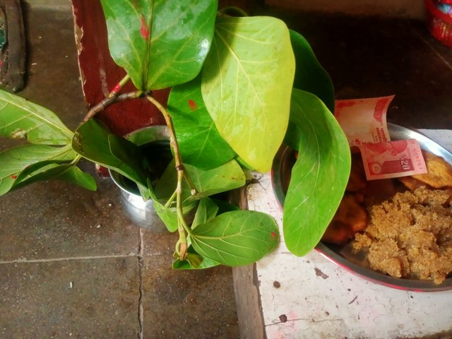IMG20250527092443.jpg