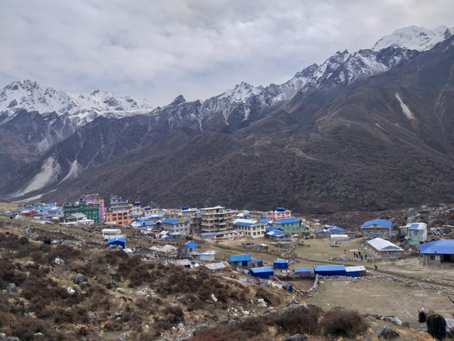 langtang.jpg