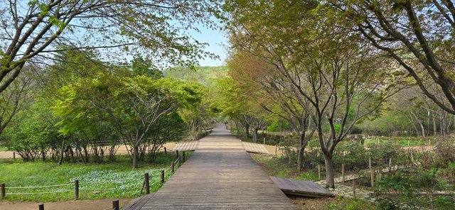 KakaoTalk_20250420_121618946_19.jpg