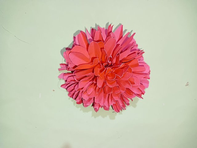 IMG-20250408.jpg