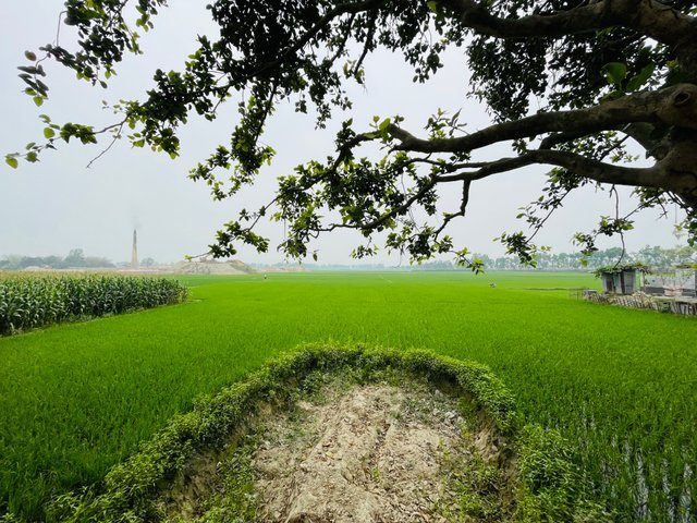 IMG_9224.jpeg
