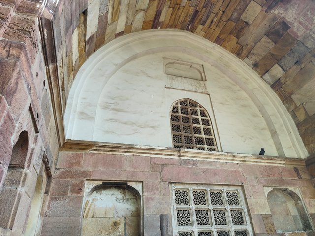 IMG_20250323_164753.jpg